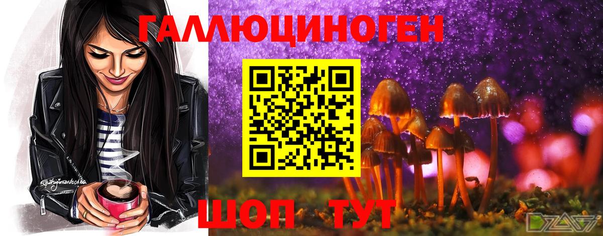 Псилоцибиновые грибы GOLDEN TEACHER  Вход с VPN  Галлюциногенные грибы ЛСД  Южно-Сахалинск 